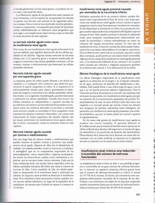 (E
)
I,l,SI.VII,K,
l-olocopiur
sin
autorización
es
u
n
dolilo.
Capítulo 31 Nefropatías y diuréticos
al filtrado glomerular. En los casos graves, se produce un cie­
rre total o casi total del riñón.
La inflamación aguda de los glomérulos suele mejorar en
unas 2 semanas, y en la mayoría de los pacientes los riñones
recuperan una función casi normal en las siguientes sema­
nas o meses. Pero a veces se han destruido muchos gloméru­
los para su reparación y un pequeño porcentaje de pacientes
sufrirá indefinidamente un deterioro renal progresivo que
dará lugar a una insuficiencia renal crónica, como se describe
en otras secciones de este capítulo.
La necrosis tubular aguda como causa
de insuficiencia renal aguda
Otra causa de una insuficiencia renal aguda intrarrenal es la
necrosis tubular, que significa destrucción de las células epi­
teliales en los túbulos. Algunas causas comunes de necrosis
tubular son: 1) la isquemia grave y el aporte inadecuado de
oxígeno y nutrientes a las células epiteliales tubulares, y 2) los
venenos, toxinas o medicamentos que destruyen las células
epiteliales tubulares.
Necrosis tubular aguda causada
por una isquemia grave
La isquemia grave del riñón puede deberse a un shock cir­
culatorio o a cualquier otro trastorno que deteriore gra­
vemente el aporte sanguíneo al riñón. Si la isquemia es lo
suficientemente intensa para alterar gravemente el trans­
porte de oxígeno y nutrientes a las células epiteliales tubula­
res renales, y si la agresión es prolongada, pueden lesionarse
o destruirse las células epiteliales. Cuando esto ocurre, las
células tubulares se «desprenden» y taponan muchas de
las nefronas, de manera que las nefronas bloqueadas no pro­
ducen orina; las nefronas afectadas no excretan a menudo
orina incluso cuando se normaliza el flujo sanguíneo renal
mientras los túbulos continúen obstruidos. Las causas más
importantes de lesión isquémica del epitelio tubular son
las causas prerrenales de insuficiencia renal aguda asocia­
das al shock circulatorio, como se comentó antes en este
capítulo.
Necrosis tubular aguda causada
por toxinas o medicamentos
Hay una larga lista de tóxicos renales y medicamentos que
pueden lesionar el epitelio tubular y provocar una insufi­
ciencia renal aguda. Algunos de ellos son el tetracloruro de
carbono, los metales pesados (como el mercurio y el plomo),
el etilenglicol (que es un componente importante de los
anticongelantes), varios insecticidas y algunos medicamen­
tos (como las tetraciclinas) usados como antibióticos y cis-
platino, que se usa para tratar ciertos cánceres. Cada una de
estas sustancias tiene una acción tóxica específica sobre las
células epiteliales tubulares del riñón que causa la muerte de
muchas de ellas. Como resultado de ello, las células epite­
liales se desprenden de la membrana basal y obstruyen los
túbulos. En algunos casos también se destruye la membrana
basal. Si la membrana basal permanece intacta, pueden cre­
cer nuevas células tubulares a lo largo de la superficie de la
membrana, de manera que el túbulo se repara a sí mismo en
10-20 días.
Insuficiencia renal aguda posrenal causada
por anomalías de la vía urinaria inferior
Múltiples anomalías de la vía urinaria inferior pueden blo­
quear total o parcialmente el flujo de orina y por tanto pro­
vocar una insuficiencia renal aguda incluso cuando el aporte
sanguíneo renal y otras funciones son inicialmente normales.
Si sólo disminuye la diuresis de un riñón no se producirá nin­
gún cambio importante en la composición del líquido corporal
porque el otro riñón puede aumentar la diuresis lo suficiente
como para mantener concentraciones relativamente nor­
males de electrólitos y solutos extracelulares así como un
volumen del líquido extracelular normal. En este tipo de
insuficiencia renal, la función normal del riñón puede restau­
rarse si la causa básica del problema se corrige en unas horas.
Pero la obstrucción crónica de la vía urinaria, que dura varios
días o semanas, puede provocar una lesión renal irreversible.
Algunas de las causas de la insuficiencia renal aguda posrenal
son: 1) la obstrucción bilateral de los uréteres o de la pelvis
renal causada por cálculos o coágulos sanguíneos grandes;
2) la obstrucción vesical, y 3) la obstrucción de la uretra.
Efectos fisiológicos de la insuficiencia renal aguda
Un efecto fisiológico importante de la insuficiencia renal
aguda es la retención en la sangre y en el líquido extracelu­
lar de agua, productos de desecho del metabolismo y elec­
trólitos. Esto puede llevar a una sobrecarga de agua y sal, lo
que a su vez puede provocar edema e hipertensión. Pero la
retención excesiva de potasio es a menudo una amenaza más
seria para los pacientes con insuficiencia renal aguda, porque
un aumento de la concentración plasmática de potasio (hi-
perpotasemia) de más de unos 8mEq/l (sólo dos veces con
respecto a lo normal) puede ser mortal. Como los riñones
son incapaces de excretar suficientes iones hidrógeno, los
pacientes con insuficiencia renal aguda presentan una acido-
sis metabòlica, que por sí misma puede ser mortal o agravar
la hiperpotasemia.
En los casos más graves de insuficiencia renal aguda se
produce una anuria completa. El paciente fallecerá en
8-14 días a no ser que se restaure la función renal o que se use un
riñón artificial para eliminar del organismo el exceso de agua,
los electrólitos y los productos de desecho del metabolismo.
Otros efectos de la reducción de la diuresis, así como del tra­
tamiento con un riñón artificial, se exponen en la siguiente
sección en relación con la insuficiencia renal crónica.
Insuficiencia renal crónica: una reducción
irreversible del núm ero de nefronas
funcionales
La insuficiencia renal crónica se debe a una pérdida progre­
siva e irreversible de un gran número de nefronas funciona­
les. A menudo no aparecen síntomas clínicos graves hasta
que el número de nefronas funcionales se reduce al menos
un 70-75% de lo normal. De hecho, las concentraciones san­
guíneas relativamente normales de la mayoría de los elec­
trólitos y los volúmenes normales de los líquidos corporales
pueden mantenerse hasta que el número de nefronas funcio­
nales se reduce por debajo del 20-25% de lo normal.
I
i
i
I
1
*
3
a
i
a
401
桴瑰㨯⽢潯歳浥摩捯献潲
桴瑰㨯⽢潯歳浥摩捯献潲
 