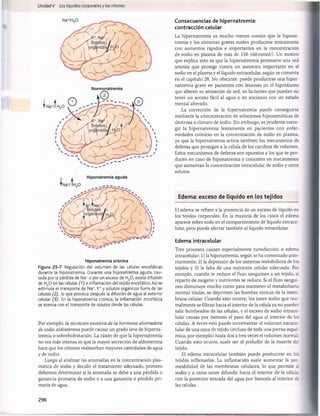 Unidad V Los líquidos corporalesy los ríñones
Hiponatremia crónica
Figura 25-7 Regulación del volumen de las células encefálicas
durante la hiponatremia. Durante una hiponatremia aguda, cau­
sada por la pérdida de Na+o por un exceso de H20, existe difusión
de H20 en las células (1) e inflamación del tejido encefálico. Así se
estimula el transporte de Na*, K+y solutos orgánicos fuera de las
células (2), lo que provoca después la difusión de agua al exterior
celular (3). En la hiponatremia crónica, la inflamación encefálica
se atenúa con el transporte de solutos desde las células.
Por ejemplo, la secreción excesiva de la hormona ahorradora
de sodio aldosterona puede causar un grado leve de hiperna-
tremia o sobrehidratación. La razón de que la hipernatremia
no sea más intensa es que la mayor secreción de aldosterona
hace que los riñones reabsorban mayores cantidades de agua
y de sodio.
Luego al analizar las anomalías en la concentración plas­
mática de sodio y decidir el tratamiento adecuado, primero
debemos determinar si la anomalía se debe a una pérdida o
ganancia primaria de sodio o a una ganancia o pérdida pri­
maria de agua.
Consecuencias de hipernatremia:
contracción celular
La hipernatremia es mucho menos común que la hipona­
tremia y los síntomas graves suelen producirse únicamente
con aumentos rápidos e importantes en la concentración
de sodio en plasma de más de 158-160 mmol/1. Un motivo
que explica esto es que la hipernatremia promueve una sed
intensa que protege contra un aumento importante en el
sodio en el plasma y el líquido extracelular, según se comenta
en el capítulo 28. No obstante, puede producirse una hiper­
natremia grave en pacientes con lesiones en el hipotálamo
que alteren su sensación de sed, en lactantes que puedan no
tener un acceso fácil al agua o en ancianos con un estado
mental alterado.
La corrección de la hipernatremia puede conseguirse
mediante la administración de soluciones hipoosmóticas de
dextrosa o cloruro de sodio. Sin embargo, es prudente corre­
gir la hipernatremia lentamente en pacientes con enfer­
medades crónicas en la concentración de sodio en plasma,
ya que la hipernatremia activa también los mecanismos de
defensa que protegen a la célula de los cambios de volumen.
Estos mecanismos de defensa son opuestos a los que se pro­
ducen en caso de hiponatremia y consisten en mecanismos
que aumentan la concentración intracelular de sodio y otros
solutos.
Edema: exceso de líquido en los tejidos
El edema se refiere a la presencia de un exceso de líquido en
los tejidos corporales. En la mayoría de los casos el edema
aparece sobre todo en el compartimiento de líquido extrace­
lular, pero puede afectar también al líquido intracelular.
Edema intracelular
Tres procesos causan especialmente tumefacción o edema
intracelular: 1) la hiponatremia, según se ha comentado ante­
riormente, 2) la depresión de los sistemas metabólicos de los
tejidos y 3) la falta de una nutrición celular adecuada. Por
ejemplo, cuando se reduce el flujo sanguíneo a un tejido, el
reparto de oxígeno y nutrientes se reduce. Si el flujo sanguí­
neo disminuye mucho como para mantener el metabolismo
normal tisular, se deprimen las bombas iónicas de la mem­
brana celular. Cuando esto ocurre, los iones sodio que nor­
malmente se filtran hacia el interior de la célula ya no pueden
salir bombeados de las células, y el exceso de sodio intrace­
lular causas por osmosis el paso del agua al interior de las
células. A veces esto puede incrementar el volumen intrace­
lular de una zona de tejido (incluso de toda una pierna isqué­
mica, por ejemplo) hasta dos a tres veces el volumen norm al
Cuando esto ocurre, suele ser el preludio de la muerte del
tejido.
El edema intracelular también puede producirse en los
tejidos inflamados. La inflamación suele aumentar la per­
meabilidad de las membranas celulares, lo que permite a:
sodio y a otros iones difundir hacia el interior de la célula,
con la posterior entrada del agua por osmosis al interior de
las células.
Normonatremia
I
296
桴瑰㨯⽢潯歳浥摩捯献潲
桴瑰㨯⽢潯歳浥摩捯献潲
 