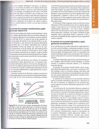 '
I
I
SI!
V
II.U
.
I
o
l
o
c
o
p
l
u
i
Nil
I
.
I
l
l
l
n
l
I
/

1
1
Itili
rti
till
i
ll
'
I
t
i
n
Capítulo 26 Formación de la orina por los riñones: I. Filtración glomerular, flujo sanguíneo renal y su control
Er. ciertos estados patológicos asociados a la obstruc-
¿e la vía urinaria, la presión en la cápsula de Bowman
:e aumentar mucho y provocar una reducción grave
sé. EG. Por ejemplo, la precipitación del calcio o del ácido
_r_:: puede dar lugar a «cálculos» que se alojen en la vía
arr^ria, a menudo en el uréter, lo que obstruye el flujo en la
m z urinaria y aumenta la presión en la cápsula de Bowman.
Esc: reduce el FG y finalmente puede provocar hidronefrosis
?u^rensión y dilatación de la pelvis y los cálices renales) y
fesonar o incluso destruir el riñón a no ser que se alivie la
rcscrucción.
L aumento de la presión coloidosmótica capilar
romerular reduce el FC
- —edida que la sangre pasa desde la arteriola aferente a través
re ¡os capilares glomerulares hasta las arteriolas eferentes, la
nncentración plasmática de las proteínas aumenta alrededor
un 20% (fig. 26-14). La razón de esto es que alrededor de
una quinta parte del líquido en los capilares se filtra a la cáp­
sula de Bowman, lo que concentra las proteínas plasmáticas
¿omerulares que no se filtran. Suponiendo que la presión
::.oidosmótica normal del plasma que entra en los capi-
-ires glomerulares es de 28 mmHg, este valor habitualmente
i-m enta a unos 36 mmHg en el momento en que la sangre
¿canza el extremo eferente de los capilares. Luego la presión
; :loidosmótica media de las proteínas plasmáticas en el capilar
¿omerular está a medio camino entre los 28 y los 36 mmHg, o
unos 32 mmHg.
De este modo, dos factores que influyen en la presión
coloidosmótica capilar glomerular son: 1) la presión coloi­
dosmótica del plasma arterial y 2) la fracción del plasma fil­
trada por los capilares glomerulares (fracción de filtración).
El aumento de la presión coloidosmótica del plasma arterial
eleva la presión coloidosmótica capilar glomerular, lo que a
su vez reduce el FG.
Aumentar la fracción de filtración también concentra las
proteínasplasmáticasy eleva lapresión coloidosmóticaglome-
m lar (v. fig. 26-14). Como la fracción de filtración se define
■o
i« o
5 E i
O 0) c
° g I
O O£
C O)
;0

ñ
■
Extremo
aferente Distancia a lo largo
del capilar glomerular
Extremo
eferente
Figura 26-14 Aumento de la presión coloidosmótica del plasma
que fluye a través del capilar glomerular. Lo normal es que alre­
dedor de una quinta parte del líquido que hay en los capilares
glomerulares se filtre hacia la cápsula de Bowman, lo que concen­
tra las proteínas plasmáticas que no se filtran. Los aumentos en la
fracción de filtración (filtrado glomerular/flujo plasmático renal)
aumentan la velocidad con la que la presión coloidosmótica del
plasma aumenta a lo largo del capilar glomerular; los descensos en
la fracción de filtración tienen el efecto opuesto.
como FG/flujo plasmático renal, la fracción de filtración puede
aumentarse elevando el FG o reduciendo el flujo plasmático
renal. Por ejemplo, una reducción del flujo plasmático renal
sin cambio inicial en el FG tendería a aumentar la fracción de
filtración, lo que aumentaría la presión coloidosmótica capi­
lar glomerular y tendería a reducir el FG. Por esta razón,
los cambios en el flujo sanguíneo renal pueden influir en el
FG independientemente de los cambios en la presión hidros-
tática glomerular.
Al aumentar el flujo sanguíneo renal, una fracción menor
del plasma se filtra inicialmente fuera de los capilares glome­
rulares, lo que provoca un incremento lento de la presión
coloidosmótica glomerular y un menor efecto inhibidor
sobre el FG. En consecuencia, incluso con una presión hidros-
tática glomerular constante, una mayor cantidad de flujo
sanguíneo hacia el glomérulo tiende a aumentar el FG, y
una menor intensidad delflujo sanguíneo hacia el glomérulo
tiende a reducirlo.
El aumento de la presión hidrostática capilar
glomerular incrementa el FC
Se ha calculado que la presión hidrostática capilar glomeru­
lar es de unos 60 mmHg en condiciones normales. Los cam­
bios en la presión hidrostática glomerular son la principal
forma de regular fisiológicamente el FG. Los aumentos en la
presión hidrostática glomerular incrementan el FG, mientras
que las reducciones en la presión hidrostática glomerular lo
reducen.
La presión hidrostática glomerular está determinada por
tres variables, todas ellas bajo control fisiológico: 1) presión
arterial; 2) resistencia arteriolar aferente, y 3) resistencia
arteriolar eferente.
El aumento de la presión arterial tiende a elevar la pre­
sión hidrostática glomerular y, por tanto, a aumentar el FG.
(Sin embargo, como se comentará después, este efecto está
amortiguado por mecanismos autorreguladores que mantie­
nen una presión glomerular relativamente constante mien­
tras fluctúa la presión arterial.)
El aum ento de la resistencia en las arteriolas aferentes
reduce la presión hidrostática glomerular y disminuye el
FG. Por el contrario, la dilatación de las arteriolas afe­
rentes aum enta la presión hidrostática glomerular y el FG
(fig. 26-15).
La constricción de las arteriolas eferentes aum enta la
resistencia al flujo de salida de los capilares glomerulares.
Esto aum enta la presión hidrostática glomerular, y m ien­
tras que el aum ento de la resistencia eferente no reduzca
demasiado el flujo sanguíneo renal, el FG aum enta li­
geram ente (v. fig. 26-15). Sin embargo, como la constric­
ción arteriolar aferente tam bién reduce el flujo sanguíneo
renal, la fracción de filtración y la presión coloidosmótica
glomerular aum entan a medida que la resistencia arte­
riolar eferente aum enta. Luego si la constricción de las
arteriolas eferentes es intensa (increm ento mayor de tres
veces de la resistencia arteriolar eferente), el aum ento
de la presión coloidosmótica supera el increm ento de
la presión hidrostática capilar glomerular debido a la
constricción arteriolar eferente. Cuando esto ocurre,
lafuerza neta de la filtración se reduce en realidad, lo que
disminuye el FG.
315
U
N
I
D
A
D
V
桴瑰㨯⽢潯歳浥摩捯献潲
桴瑰㨯⽢潯歳浥摩捯献潲
 