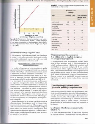 Capítulo 26 Formación de la orina por los riñones: I. Filtración glomerular, flujo sanguíneo renal y su control
Reabsorción de sodio
(mEq/min por 100 g de peso de riñón)
Rgura 26-16 Relación entre el consumo de oxígeno y la reabsor­
ción de sodio en riñones de perro. (Kramer K, Deetjen P: Relation
:* renal oxygen consumption to blood supply and glomerular fil-
ration during variations of blood pressure. Pflugers Arch Physiol
271:782,1960.).
Determinantes del flujo sanguíneo renal
£1 flujo sanguíneo renal está determinado por el gradiente
de presión a través de los vasos renales (la diferencia entre las
presiones hidrostáticas en la arteria renal y en la vena renal),
dividido por la resistencia vascular total renal:
(Presión en arteria renal - Presión en vena renal)
Resistencia vascular renal total
La presión en la arteria renal es aproximadamente igual a
la presión arterial sistèmica, y la presión en la vena renal es de
media de 3-4 mmHg en la mayoría de las condiciones. Como
en otros lechos vasculares, la resistencia vascular total a tra­
vés de los riñones está determinada por la suma de las resis­
tencias en segmentos vasculares individuales, incluidas las
arterias, las arteriolas, los capilares y las venas (tabla 26-3).
La mayor parte de la resistencia vascular renal reside en
tres segmentos principales: las arterias interlobulillares, las
arterias aferentes y las arteriolas eferentes. La resistencia de
estos vasos está controlada por el sistema nervioso simpático,
varias hormonas y mecanismos de control locales internos,
como se comentará más adelante. Un aumento de la resisten­
cia en cualquiera de los segmentos vasculares de los riñones
tiende a reducir el flujo sanguíneo renal, mientras que una
reducción en la resistencia vascular aumenta el flujo sanguí­
neo renal si las presiones en la vena y arteria renales perma­
necen constantes.
Aunque los cambios en la presión arterial ejercen cierta
influencia sobre el flujo sanguíneo renal, los riñones tienen
mecanismos efectores para mantener el flujo sanguíneo renal
y el FG relativamente constantes entre los 80 y 170 mmHg de
presión arterial, un proceso llamado autorregulación. Esta
capacidad de autorregulación se produce a través de meca­
nismos que son completamente intrínsecos, como se comen­
tará después en este capítulo.
Tabla 26-3 Presiones y resistencias vasculares aproximadas en la
circulación de un riñón normal
Presión en vaso
(mmHg)
Vaso Comienzo Final % de resistencia
vascular renal
total
Arteria renal 100 100 =0
Arterias interlobular,
arciforme e
interlobulillar
=100 85 =16
Arteriola aferente 85 60 =26
Capilares
glomerulares
60 59 =1
Arteriola eferente 59 18 =43
Capilares
peritubulares
18 8 =10
Venas interlobular,
interlobulillar y
arciforme
8 4 =4
Vena renal 4 «4 =0
El flujo sanguíneo en los vasos rectos
de la médula renal es muy bajo comparado
con el flujo en la corteza renal
La parte externa del riñón, la corteza renal, recibe la mayor
parte del flujo sanguíneo renal. El flujo sanguíneo en la
médula renal supone sólo el 1-2% del flujo sanguíneo renal
total. El flujo en la médula renal procede de una porción
especializada del sistema capilar peritubular llamada vasos
rectos. Estos vasos descienden hasta la médula paralelos a las
asas de Henle y después vuelven de nuevo junto a las asas de
Henle hasta la corteza antes de vaciarse en el sistema venoso.
Como se comenta en el capítulo 28, los vasos rectos son
importantes para que los riñones puedan formar una orina
concentrada.
Control fisiológico de la filtración
glom erular y del flujo sanguíneo renal
Los determinantes del FG que son más variables y están suje­
tos al control fisiológico son la presión hidrostática glome­
rular y la presión coloidosmótica capilar glomerular. Estas
variables, a su vez, están influenciadas por el sistema ner­
vioso simpático, las hormonas y los autacoides (sustancias
vasoactivas que liberan los riñones y actúan a nivel local) y
otros controles de retroalimentación que son intrínsecos a
los riñones.
La activación del sistema nervioso simpático
reduce el FG
Casi todos los vasos sanguíneos de los riñones, incluidas
las arteriolas aferentes y eferentes, están muy inervados por
317
U
N
I
D
A
D
V
桴瑰㨯⽢潯歳浥摩捯献潲
桴瑰㨯⽢潯歳浥摩捯献潲
 
