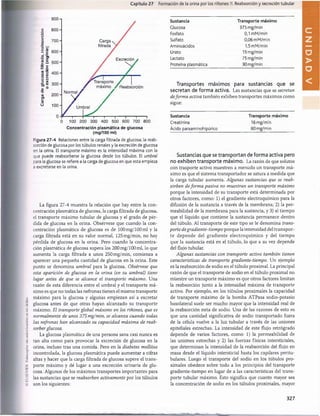 (
O
I
I
.S
r
.V
i
r
.U
.
I
'o
l
o
c
o
p
l
m
s
i
n
u
u
l
o
r
l
z
i
u
l
í
'm
«
*
h
i
i
i
i
d
i
f
i
l
l
o
.
Capítulo 27 Formación de la orina por los riñones: II. Reabsorción y secreción tubular
900'
= 800'
•o
o
o
-Q _
«
3
Ü •-
^ E
3 g
re c
—•
—
-
= c
— ;0
re ‘q
O £
o o
D X
— a

en
o °
T3
íü
O
)
l_
re
O
200
100
Carga N
filtrada
/
Excrecióny
f Transporte 7 T 
/ máximo .f Reabsorción
Normal / /
/ Umbral /
i i i i -------1
------- 1
------- 1
0 100 200 300 400 500 600 700 800
Concentración plasmática de glucosa
(mg/100 mi)
Figura 27-4 Relaciones entre la carga filtrada de glucosa, la reab­
sorción de glucosa por los túbulos renales y la excreción de glucosa
en la orina. El transporte máximo es la intensidad máxima con la
que puede reabsorberse la glucosa desde los túbulos. El umbral
para la glucosa se refiere a la carga de glucosa en que esta empieza
a excretarse en la orina.
La figura 27-4 muestra la relación que hay entre la con­
centración plasmática de glucosa, la carga filtrada de glucosa,
el transporte máximo tubular de glucosa y el grado de pér­
dida de glucosa en la orina. Obsérvese que cuando la con­
centración plasmática de glucosa es de 100 mg/100 mi y la
carga filtrada está en su valor normal, 125mg/min, no hay
pérdida de glucosa en la orina. Pero cuando la concentra­
ción plasmática de glucosa supera los 200 mg/100 mi, lo que
aumenta la carga filtrada a unos 250 mg/min, comienza a
aparecer una pequeña cantidad de glucosa en la orina. Este
punto se denomina umbral para la glucosa. Obsérvese que
esta aparición de glucosa en la orina (en su umbral) tiene
lugar antes de que se alcance el transporte máximo. Una
razón de esta diferencia entre el umbral y el transporte má­
ximo es que no todas las nefronas tienen el mismo transporte
máximo para la glucosa y algunas empiezan así a excretar
glucosa antes de que otras hayan alcanzado su transporte
máximo. El transporte global máximo en los riñones, que es
normalmente de unos 375 mg/min, se alcanza cuando todas
las nefronas han alcanzado su capacidad máxima de reab­
sorberglucosa.
La glucosa plasmática de una persona sana casi nunca es
tan alta como para provocar la excreción de glucosa en la
orina, incluso tras una comida. Pero en la diabetes mellitus
incontrolada, la glucosa plasmática puede aumentar a cifras
altas y hacer que la carga filtrada de glucosa supere el trans­
porte máximo y dé lugar a una excreción urinaria de glu­
cosa. Algunos de los máximos transportes importantes para
las sustancias que se reabsorben activamente por los túbulos
son los siguientes:
Sustancia Transporte máximo
Glucosa 375 mg/min
Fosfato 0,1 mM/min
Sulfato 0,06mM/min
Aminoácidos 1,5mM/min
Urato 15 mg/min
Lactato 75mg/mín
Proteína plasmática 30 mg/min
Transportes máximos para sustancias que se
secretan de forma activa. Las sustancias que se secretan
deforma activa también exhiben transportes máximos como
sigue:
Sustancia Transporte máximo
Creatinina 16 mg/min
Ácido paraaminohipúrico 80 mg/min
Sustancias que se transportan de forma activa pero
no exhiben transporte máximo. La razón de que solutos
con trasporte activo muestren a menudo un transporte má­
ximo es que el sistema transportador se satura a medida que
la carga tubular aumenta. Algunas sustancias que se reab­
sorben deform a pasiva no muestran un transporte máximo
porque la intensidad de su transporte está determinada por
otros factores, como: 1) el gradiente electroquímico para la
difusión de la sustancia a través de la membrana; 2) la per­
meabilidad de la membrana para la sustancia, y 3) el tiempo
que el líquido que contiene la sustancia permanece dentro
del tùbulo. Al transporte de este tipo se le denomina trans­
porte degradiente-tiempo porque la intensidad del transpor­
te depende del gradiente electroquím ico y del tiem po
que la sustancia está en el tùbulo, lo que a su vez depende
del flujo tubular.
Algunas sustancias con transporte activo también tienen
características de transporte gradiente-tiempo. Un ejemplo
es la reabsorción de sodio en el tùbulo proximal. La principal
razón de que el transporte de sodio en el tùbulo proximal no
muestre un transporte máximo es que otros factores limitan
la reabsorción junto a la intensidad máxima de transporte
activo. Por ejemplo, en los túbulos proximales la capacidad
de transporte máximo de la bomba ATPasa sodio-potasio
basolateral suele ser mucho mayor que la intensidad real de
la reabsorción neta de sodio. Una de las razones de esto es
que una cantidad significativa de sodio transportado fuera
de la célula vuelve a la luz tubular a través de las uniones
epiteliales estrechas. La intensidad de este flujo retrógrado
depende de varios factores, como: 1) la permeabilidad de
las uniones estrechas y 2) las fuerzas físicas intersticiales,
que determinan la intensidad de la reabsorción del flujo en
masa desde el líquido intersticial hasta los capilares peritu-
bulares. Luego el transporte del sodio en los túbulos pro­
ximales obedece sobre todo a los principios del transporte
gradiente-tiempo en lugar de a las características del trans­
porte tubular máximo. Esto significa que cuanto mayor sea
la concentración de sodio en los túbulos proximales, mayor
327
U
N
I
D
A
D
V
桴瑰㨯⽢潯歳浥摩捯献潲
桴瑰㨯⽢潯歳浥摩捯献潲
 