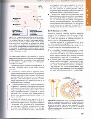 i:i.S
i:v
li:R
.
l'otocoplnr
Hill
autorización
os
un
d
elito
.
Capítulo 27 Formación de la orina por los riñones: II. Reabsorción y secreción tubular
Líquido
ntersticial
renal
Células
tubulares
Luz
tubular
(-50 mV)
Antagonistas
de la aldosterona
• Espironolactona
• Eplerenona
Bloqueantes
de los canales del Na+
•Amilorida
•Triamtereno
Figura 27-12 Mecanismo de la reabsorción de cloruro de sodio y
de la secreción de potasio en la última parte de los túbulos distales
y en los túbulos colectores corticales. El sodio entra en la célula a
través de canales especiales y es transportado fuera de la célula
por la bomba ATPasa sodio-potasio. Los antagonistas de la aldos­
terona compiten con la aldosterona por los sitios de unión en la
célula y por ello inhiben los efectos de la aldosterona de estímulo
de la absorción de sodio y de la secreción de potasio. Los blo­
queantes de los canales del sodio inhiben directamente la entrada
de sodio en los canales del sodio.
cada ion hidrógeno secretado queda disponible un ion bicar­
bonato para su reabsorción a través de la membrana basola-
teral. En el capítulo 30 se presenta una revisión más detallada
de este mecanismo. Las células intercaladas también pueden
reabsorber iones potasio.
Las características funcionales de la porción final del tù­
bulo distai y del tùbulo colector cortical pueden resumirse
como sigue:
1. Las membranas tubulares de los dos segmentos son casi
completamente impermeables a la urea, de forma similar
al segmento diluyente de la primera parte del tùbulo dis­
tai; luego casi toda la urea que entra en estos segmentos
atraviesa el tùbulo colector para su excreción en la orina,
aunque se produce una cierta reabsorción de urea en los
conductos colectores medulares.
2. La porción final del tùbulo distai y el tùbulo colector corti­
cal reabsorben iones sodio y su intensidad está controlada
por hormonas, en especial por la aldosterona. Al mismo
tiempo, estos segmentos secretan iones potasio desde la
sangre capilar peritubular hacia la luz tubular, un proceso
que también está controlado por la aldosterona y otros
factores como la concentración de iones potasio en los
líquidos corporales.
3. Las células intercaladas de estos segmentos de la ne-
frona secretan ávidamente iones hidrógeno mediante un
mecanismo hidrógeno-ATPasa. Este proceso es diferente
a la secreción activa secundaria de los iones hidrógeno
que tenía lugar en el tùbulo proximal porque es capaz
de secretar iones hidrógeno en contra de un gran gra­
diente de concentración, hasta de 1.000 a 1. Esto contrasta
con el gradiente relativamente pequeño (4-10 veces) de
iones hidrógeno que puede alcanzarse mediante secre­
ción activa secundaria en el tùbulo proximal. Luego las
células intercaladas desempeñan una función clave en la
regulación acidobàsica de los líquidos corporales.
4. La permeabilidad al agua de la porción final del tùbulo
distai y del conducto colector cortical está controlada por
la concentración de ADH, que también se llama vasopre-
sina. Con concentraciones altas de ADH, estos segmentos
tubulares permanecen permeables al agua, pero sin ADH
son prácticamente impermeables a ella. Esta característica
especial proporciona un importante mecanismo de con­
trol del grado de dilución o concentración de la orina.
Conducto colector medular
Aunque los conductos colectores medulares reabsorben
menos del 10% del agua y del sodio filtrados, son el lugar
final de procesamiento de la orina y, por ello, desempeñan
una función muy importante en la determinación de la eli­
minación final en la orina de agua y de solutos.
Las células epiteliales de los conductos colectores tienen
una forma casi cúbica con superficies lisas y un número re­
lativamente reducido de mitocondrias (fig. 27-13). Las ca­
racterísticas especiales de este segmento tubular son:
1. La permeabilidad al agua del conducto colector medular
está controlada por la concentración de ADH. Con con­
centraciones altas de ADH, el agua se reabsorbe ávidamen­
te en el intersticio medular, lo que reduce el volumen de
orina y concentra la mayoría de los solutos en ella.
2. Al contrario que el tùbulo colector cortical, el conducto
colector medular es permeable a la urea y existen trans­
portadores de urea especiales que facilitan la difusión de la
urea a través de las membranas luminales y basolaterales.
Luego parte de la urea tubular se reabsorbe en el inters­
ticio medular, lo que ayuda a aumentar la osmolalidad en
esta región de los riñones y contribuye a la capacidad glo-
Conducto
Figura 27-13 Ultraestructura celular y características del trans­
porte del conducto colector medular. Los conductos colectores
medulares reabsorben activamente sodio, secretan iones hidró­
geno y son permeables a la urea, que es reabsorbida en estos
segmentos tubulares. La reabsorción del agua en los conductos
colectores medulares está controlada por la concentración de la
hormona antidiurética.
333
U
N
I
D
A
D
V
桴瑰㨯⽢潯歳浥摩捯献潲
桴瑰㨯⽢潯歳浥摩捯献潲
 