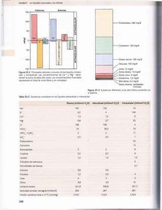 Unidad V Los líquidos corporalesy los riñones
150'
Cationes Aniones
100-
50-
iS o■
50-
100
150
Na+
K+
Ca++
Mg+-
Ci­
to
.
m'r
O
C
L
Ic
o
o
o
X
Figura 25-2 Principales cationes y aniones de los líquidos intrace-
lular y extracelular. Las concentraciones de Ca++ y Mg++ repre­
sentan la suma de estos dos iones. Las concentraciones mostradas
representan el total de iones libres y en complejos.
-Fosfol(pidos: 280 mg/dl
-Colesterol: 150 mg/dl
-Grasa neutra: 125 mg/dl
- Glucosa: 100 mg/dl
-Urea: 15 mg/dl
^Ácido láctico: 10 mg/dl
-Ácido úrico: 3 mg/dl
-Creatlnlna: 1,5 mg/dl
nO  ' Billrrubina: 0,5 mg/dl
Sales biliares: cantidades
mínimas
Figura 25-3 Sustancias diferentes a los electrólitos presentes en
el plasma.
Tabla 25-2 Sustancias osmolares en los líquidos extracelular e intracelular
Plasma (mOsm/l H2
0) Intersticial (mOsm/l H2
0) Intracelular (mOsm/l H20)
Na+ 142 139 14
K+ 4,2 4 140
Ca++ 1,3 1,2 0
Mg+ 0,8 0,7 20
ci- 108 108 4
h c o 3
- 24 28,3 10
h p o 4=, h 2po 4
- 2 2 11
s o 4= 0,5 0,5 1
Fosfocreatina 45
Carnosina 14
Aminoácidos 2 2 8
Creatina 0,2 0,2 9
Lactato 1,2 1,2 1,5
Trifosfato de adenosina 5
Monofosfato de hexosa 3,7
Glucosa 5,6 5,6
Proteína 1,2 0,2 4
Urea 4 4 4
Otros 4,8 3,9 10
mOsm/l totales 301,8 300,8 301,2
Actividad osmolar corregida (mOsm/l) 282 281 281
Presión osmótica total a 37°C (mmHg) 5.443 5.423 5.423
288
桴瑰㨯⽢潯歳浥摩捯献潲
桴瑰㨯⽢潯歳浥摩捯献潲
 