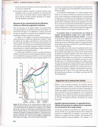 Unidad V Los líquidos corporalesy los riñones
bal de los riñones de formar una orina concentrada. Esto
se trata en el capítulo 28.
3. El conducto colector medular es capaz de secretar iones
hidrógeno contra un gran gradiente de concentración,
como ocurre en el túbulo colector cortical. Luego el con­
ducto colector medular también participa en la regula­
ción del equilibrio acidobásico.
Resumen de las concentraciones de diferentes
solutos en diferentes segmentos tubulares
Que se concentre en el líquido tubular está determinado
por el grado relativo de reabsorción de ese soluto frente a la
reabsorción del agua. Si se reabsorbe un mayor porcentaje
de agua, la sustancia se concentra. Si se reabsorbe un mayor
porcentaje de soluto, la sustancia se diluye.
La figura 27-14 muestra el grado de concentración de
varias sustancias en diferentes segmentos tubulares. Todos
los valores de esta figura representan la concentración del
líquido tubular dividida por la concentración plasmática de
una sustancia. Si se supone que la concentración plasmática
de la sustancia es constante, cualquier cambio en el cociente
concentración en líquido tubular/plasma refleja cambios en
la concentración en el líquido tubular.
A medida que el filtrado se mueve a lo largo del sistema
tubular, la concentración aumenta progresivamente a más de
1 si se reabsorbe más agua que soluto, o si se ha producido
una secreción neta del soluto hacia el líquido tubular. Si el
Figura 27-14 Cambios en las concentraciones medias de dife­
rentes sustancias en diferentes puntos del sistema tubular respecto
a la concentración de esa sustancia en el plasma y en el filtrado
glomerular. Un valor de 1 indica que la concentración de la sustan­
cia en el líquido tubular es la misma que la concentración de esa
sustancia en el plasma. Los valores por debajo de 1 indican que la sus­
tancia se reabsorbe más ávidamente que el agua, mientras que los
valores por encima de 1 indican que la sustancia se reabsorbe en
menor grado que el agua o que se secreta hacia los túbulos.
cociente de concentraciones se hace progresivamente menor
que 1, esto significa que se ha reabsorbido relativamente más
soluto que agua.
Las sustancias representadas en la parte superior de la
figura 27-14, como la creatinina, se concentran mucho en la
orina. Estas sustancias no son generalmente necesarias para
el organismo, y los riñones se han adaptado para reabsorber­
las sólo ligeramente o no hacerlo en absoluto, o incluso para
secretarlas en cantidades especialmente grandes en la orina.
Por el contrario, las sustancias representadas en la parte infe­
rior de la figura, como la glucosa y los aminoácidos, se reab­
sorben intensamente; se trata de sustancias que el organismo
necesita conservar y casi ninguna se pierde en la orina.
El cociente entre la concentración de inulina en
líquido tubular/plasma puede servir para medir la
reabsorción de agua en los túbulos renales. La inulina,
un polisacárido usado para medir el FG, no se reabsorbe ni
se secreta en los túbulos renales. Los cambios en la concen­
tración de inulina en diferentes puntos a lo largo del túbulo
renal reflejan, por tanto, cambios en la cantidad de agua pre­
sente en el líquido tubular.
Por ejemplo, el cociente entre la concentración de la inu­
lina en líquido tubular/plasma sube a alrededor de 3 al final
de los túbulos proximales, lo que indica que la concentración
de inulina en el líquido tubular es tres veces mayor que en
el filtrado glomerular. Como la inulina no se secreta ni se
reabsorbe de los túbulos, un cociente entre la concentración
en líquido tubular/plasma de 3 significa que sólo un tercio
del agua que se ha filtrado permanece en el túbulo renal y
que dos terceras partes del agua filtrada se han reabsorbido
a medida que el líquido ha pasado por el túbulo proximal. Al
final de los conductos colectores, el cociente entre la con­
centración de inulina en líquido tubular/plasma aumenta a
alrededor de 125 (v. fig. 27-14), lo que indica que sólo 1/125
del agua filtrada permanece en el túbulo y que más del 99%
se ha reabsorbido.
Regulación de la reabsorción tubular
Debido a que es esencial mantener un equilibrio preciso
entre la reabsorción tubular y la filtración glomerular, hay
múltiples mecanismos de control nerviosos, hormonales y
locales que regulan la reabsorción tubular, así como los hay
para el control de la filtración glomerular. Una característica
importante de la reabsorción tubular es que la reabsorción
de algunos solutos puede regularse independientemente de
la de otros, en especial mediante mecanismos de control
hormonal.
Equilibrio glomerulotubular: la capacidad de los
túbulos de aumentar la reabsorción en respuesta
a un incremento de la carga tubular
Uno de los mecanismos más básicos de control de la reab­
sorción tubular es la capacidad intrínseca de los túbulos de
aumentar su reabsorción en respuesta a una mayor carga
tubular (un aumento del flujo tubular). Este fenómeno se
denomina equilibrio glomerulotubular. Por ejemplo, si el
334
桴瑰㨯⽢潯歳浥摩捯献潲
桴瑰㨯⽢潯歳浥摩捯献潲
 