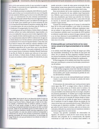 ©
ELSEVIER.
Fotocopiar
sin
autorización
es
un
delito.
Capítulo 28 Concentración y dilución de orina; regulación de la osmolaridad del líquido extracelular y de la concentración de sodio
rustica de la urea aumenta mucho, lo que normaliza la carga de
_rea filtrada y la excreción de urea (igualándola a la producción
je urea), a pesar del menor FG.
En el tùbulo proximal se reabsorbe el 40-50% de la urea fil­
trada, pero incluso así, la concentración de urea en el líquido
tubular aumenta debido a que la urea no es tan difusible como
el agua. La concentración de urea continúa aumentando a
medida que el líquido tubular fluye hacia los segmentos finos
áel asa de Henle, debido en parte a la reabsorción del agua en
el asa de Henle, pero también por la cierta secreción de urea
hacia el asa fina de Henle desde el intersticio medular (fig. 28-6).
La secreción pasiva de urea en las finas asas de Henle se ve
facilitada por el transportador de urea UT-A2.
La rama gruesa del asa de Henle, el tùbulo distai y el tùbulo
colector cortical son todos relativamente impermeables a la
urea, y se reabsorbe muy poca urea en estos segmentos tubu­
lares. Cuando el riñón está formando una orina concentrada y
hay concentraciones altas de ADH, la reabsorción de agua en
el tùbulo distai y en el tùbulo colector cortical aumenta más la
concentración de la urea en el líquido tubular. Como esta urea
fluye hacia el interior del conducto colector medular, la ele­
vada concentración de urea en el líquido tubular y los trans­
portadores específicos de la urea hacen que la urea difunda
hacia el intersticio medular. Una parte moderada de la urea
que se mueve hacia el intersticio medular difunde finalmente
al asa fina de Henle, de manera que sube por el asa ascen­
dente de Henle, el tùbulo dista! el tùbulo colector cortical y
de nuevo al conducto colector medular. De esta forma, la urea
Queda el 100%
 '.y
Corteza
Queda el 50% -
Médula H2Q
externa
Médula
interna
i
. i
i
— I i
 - t i
15
T i r ­
so
Urea
__a
/
1
i
1
1
Queda el -
1— — 100%
1 30
I
1
/
i
i
V

,v
i
i
i
300
i
i
i
i
i
i
i
Urea
300
✓
I
A
x r / r - ............ V
500 - 550
Urea ■
♦
Queda el 20%
Figura 28-6 Recirculación de la urea absorbida desde el conducto
colector medular hacia el líquido intersticial. Esta urea difunde
hacia el asa fina de Henle y después pasa a través de los túbu-
los distales y finalmente hacia el conducto colector. La recircu­
lación de la urea ayuda a atrapar la urea en la médula renal y
contribuye a la hiperosmolaridad de esta parte del riñón. Las líneas
oscuras, desde el asa ascendente gruesa de Henle hasta los con­
ductos colectores medulares, indican que estos segmentos no son
muy permeables a la urea. (Los valores numéricos corresponden a
miliosmoles de urea por litro durante la antidiuresis, cuando hay
grandes cantidades de hormona antidiurética. Los porcentajes de
carga filtrada de urea que permanece en los túbulos se indican en
los recuadros.)
puede recircular a través de estas partes terminales del sis­
tema tubular varias veces antes de ser excretada. Cada vuelta
alrededor del círculo contribuye a aumentar más la urea.
Esta recirculación de la urea constituye un mecanismo
adicional de formación de una médula renal hiperosmó-
tica. Debido a que la urea es uno de los productos de dese­
cho más abundantes que tienen que excretar los riñones,
este mecanismo de concentración de la urea antes de que
se excrete es esencial para economizar líquido corporal
cuando el agua escasea.
Cuando hay demasiada agua en el cuerpo, la velocidad de
flujo de la orina suele aumentar y, por tanto, la concentra­
ción de urea en los conductos colectores medulares inter­
nos se reduce, lo que provoca una menor difusión de urea
en el intersticio medular renal. Los niveles de ADH también
se reducen cuando existe un exceso de agua corporal, lo que
a su vez hace disminuir la permeabilidad de los conductos
colectores medulares internos al agua y a la urea, y se excreta
más urea en la orina.
El intercambio por contracorriente en los vasos
rectos conserva la hiperosmolaridad en la médula
renal
A la médula renal debe llegar un flujo de sangre que cubra
las necesidades metabólicas de las células de esta parte del
riñón. Sin un sistema de flujo sanguíneo medular especia!
los solutos bombeados a la médula renal por el sistema mul­
tiplicador por contracorriente se disiparían rápidamente.
El flujo sanguíneo de la médula renal tiene dos caracterís­
ticas que contribuyen a conservar las elevadas concentracio­
nes de solutos;
1. Elflujo sanguíneo medular es bajo, suponiendo menos de
un 5% del flujo sanguíneo renal tota! Este flujo sanguíneo
lento es suficiente para cubrir las necesidades metabólicas
de los tejidos, pero ayuda a minimizar la pérdida de solu­
tos del intersticio medular.
2. Los vasos rectos sirven de intercambiadores por contraco­
rriente, lo que minimiza el lavado de solutos del inters­
ticio medular.
El mecanismo de intercambio por contracorriente opera
como sigue (fig. 28-7). La sangre entra y deja la médula a
través de los vasos rectos en el límite entre la corteza y la
médula renal. Los vasos rectos, como otros capilares, son
muy permeables a los solutos que hay en la sangre, excepto a
las proteínas plasmáticas. A medida que la sangre desciende
hacia la médula en dirección a las papilas, se concentra cada
vez más, en parte por la entrada de solutos desde el inters­
ticio y en parte por la pérdida de agua hacia el intersticio.
En el momento en que la sangre alcanza las puntas de los
vasos rectos tiene una concentración de unos 1.200 mOsm/1,
la misma que el intersticio medular. A medida que la san­
gre sube de nuevo hacia la corteza, cada vez es menos con­
centrada al difundir los solutos hacia el intersticio medular y
moverse el agua hacia los vasos rectos.
Aunque hay grandes cantidades de intercambio de
líquido y de solutos a través de los vasos rectos, hay una
dilución neta pequeña de la concentración del líquido
intersticial en cada nivel de la médula renal debido a la
351
桴瑰㨯⽢潯歳浥摩捯献潲
桴瑰㨯⽢潯歳浥摩捯献潲
 