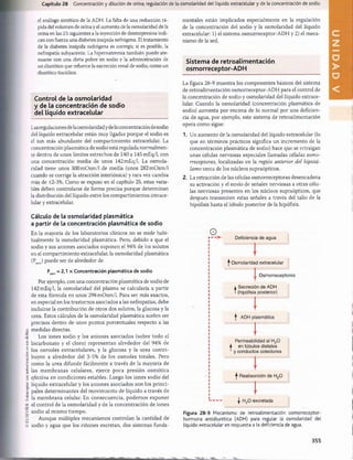 ©
ELSEVIER.
Fotocopiar
sin
autorización
o
s
un
delito.
Capítulo 28 Concentración y dilución de orina; regulación de la osmolaridad del líquido extracelular y de la concentración de sodio
el análogo sintético de la ADH. La falta de una reducción rá­
pida del volumen de orina y el aumento de la osmolaridad de la
orina en las 2h siguientes a la inyección de desmopresina indi­
can con fuerza una diabetes insípida nefrógena. El tratamiento
de la diabetes insípida nefrógena es corregir, si es posible, la
nefropatía subyacente. La hipernatremia también puede ate­
nuarse con una dieta pobre en sodio y la administración de
un diurético que refuerce la excreción renal de sodio, como un
diurético tiacídico.
Control de la osm olaridad
y de la concentración de sodio
del líquido extracelular
Lasregulaciones de la osmolaridad yde laconcentración de sodio
del líquido extracelular están muy ligadas porque el sodio es
el ion más abundante del compartimiento extracelular. La
concentración plasmática de sodio está regulada normalmen­
te dentro de unos límites estrechos de 140 a 145 mEq/1, con
una concentración media de unos 142 mEq/1. La osmola­
ridad tiene unos 300m 0sm /l de media (unos 282mOsm/l
cuando se corrige la atracción interiónica) y rara vez cambia
más de ±2-3%. Como se expuso en el capítulo 25, estas varia­
bles deben controlarse de forma precisa porque determinan
la distribución del líquido entre los compartimientos intrace-
lular y extracelular.
Cálculo de la osmolaridad plasmática
a partir de la concentración plasmática de sodio
En la mayoría de los laboratorios clínicos no se mide habi­
tualmente la osmolaridad plasmática. Pero, debido a que el
sodio y sus aniones asociados suponen el 94% de los solutos
en el compartimiento extracelular, la osmolaridad plasmática
(Posm
) puede ser de alrededor de
P = 2,1 x Concentración plasmática de sodio
osm r
Por ejemplo, con una concentración plasmática de sodio de
142 mEq/1, la osmolaridad del plasma se calcularía a partir
de esta fórmula en unos 298 mOsm/1. Para ser más exactos,
en especial en los trastornos asociados a las nefropatías, debe
incluirse la contribución de otros dos solutos, la glucosa y la
urea. Estos cálculos de la osmolaridad plasmática suelen ser
precisos dentro de unos puntos porcentuales respecto a las
medidas directas.
Los iones sodio y los aniones asociados (sobre todo el
bicarbonato y el cloro) representan alrededor del 94% de
los osmoles extracelulares, y la glucosa y la urea contri­
buyen a alrededor del 3-5% de los osmoles totales. Pero
como la urea difunde fácilmente a través de la mayoría de
las membranas celulares, ejerce poca presión osmótica
efectiva en condiciones estables. Luego los iones sodio del
líquido extracelular y los aniones asociados son los princi­
pales determ inantes del movimiento de líquido a través de
la membrana celular. En consecuencia, podemos exponer
el control de la osmolaridad y de la concentración de iones
sodio al mismo tiempo.
Aunque múltiples mecanismos controlan la cantidad de
sodio y agua que los riñones excretan, dos sistemas funda­
mentales están implicados especialmente en la regulación
de la concentración del sodio y la osmolaridad del líquido
extracelular: 1) el sistema osmorreceptor-ADH y 2) el meca­
nismo de la sed.
Sistem a de retroalim entación
osm orreceptor-ADH
La figura 28-9 muestra los componentes básicos del sistema
de retroalimentación osmorreceptor-ADH para el control de
la concentración de sodio y osmolaridad del líquido extrace­
lular. Cuando la osmolaridad (concentración plasmática de
sodio) aumenta por encima de lo normal por una deficien­
cia de agua, por ejemplo, este sistema de retroalimentación
opera como sigue:
1. Un aumento de la osmolaridad del líquido extracelular (lo
que en términos prácticos significa un incremento de la
concentración plasmática de sodio) hace que se retraigan
unas células nerviosas especiales llamadas células osmo-
rreceptoras, localizadas en la región anterior del hipotá-
lamo cerca de los núcleos supraópticos.
2. La retracción de las células osmorreceptoras desencadena
su activación y el envío de señales nerviosas a otras célu­
las nerviosas presentes en los núcleos supraópticos, que
después transmiten estas señales a través del tallo de la
hipófisis hasta el lóbulo posterior de la hipófisis.
0
Deficiencia de agua
| Osmolaridad extracelular
j Osmorreceptores
t í
Secreción de ADH
(hipófisis posterior)
l
I
i en túbulos distales
y conductos colectores
| Reabsorción de H20
!
| H20 excretada
Figura 28-9 Mecanismo de retroalimentación osmorreceptor-
hormona antidiurética (ADH) para regular la osmolaridad del
líquido extracelular en respuesta a la deficiencia de agua.
355
U
N
I
D
A
桴瑰㨯⽢潯歳浥摩捯献潲
桴瑰㨯⽢潯歳浥摩捯献潲
 