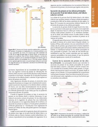 (
(
I
)
I
.
I
.
S
I
.
V
I
K
K
,
lo
to
c
o
p
lu
r
s
i
n
a
u
t
o
r
i
z
a
c
i
ó
n
o
n
u
n
d
o
l
i
l
o
.
Capítulo 29 Regulación renal del potasio, el calcio, el fosfato y el magnesio
65%
Figura 29-2 Zonas en el túbulo renal de reabsorción y secreción
del potasio. El potasio se reabsorbe en el túbulo proximal y en
el asa ascendente de Henle, de manera que sólo alrededor de
un 8% de la carga filtrada llega al túbulo distal. La secreción de
potasio en la porción final de los túbulos distales y conductos
colectores coopera con la cantidad excretada, de manera que la
excreción diaria es de alrededor de un 12% del potasio filtrado
en los capilares glomerulares. Los porcentajes indican la cantidad
de carga filtrada que se reabsorbe o secreta en los diferentes seg­
mentos tubulares.
secretarse, dependiendo de las necesidades del organismo.
Con una ingestión normal de potasio de lOOmEq/día, los
riñones deben excretar unos 92 mEq/día (los 8 mEq restantes
se pierden en las heces). Alrededor de 31 mEq/día de potasio
se secretan en los túbulos distal y colector, lo que supone un
tercio del potasio excretado.
Ante ingestiones elevadas de potasio, la excreción extra
requerida de potasio se consigue casi completamente aumen­
tando la secreción de potasio en los túbulos distal y colector.
De hecho, con una dieta extremadamente rica en potasio,
su excreción puede superar la cantidad de potasio que hay
en el filtrado glomerular, lo que indica que hay un poderoso
mecanismo excretor de potasio.
Cuando la ingestión de potasio es baja, la secreción de
potasio en los túbulos distal y colector disminuye, lo que
reduce la secreción urinaria de potasio. En las reducciones
extremas de la ingestión de potasio hay una reabsorción
neta del potasio en los segmentos distales de la nefrona y la
excreción de potasio se reduce al 1% del potasio presente en
el filtrado glomerular (a 10 mEq/día). Con ingestiones de
potasio por debajo de esta cifra puede aparecer una hipopo-
tasemia grave.
Luego la mayor parte de la regulación diaria de la excreción
de potasio tiene lugar en la parte final del túbulo distal y en
el túbulo colector, donde el potasio puede reabsorberse o ex­
cretarse dependiendo de las necesidades del organismo. En la
siguiente sección consideraremos los mecanismos básicos de
la secreción de potasio y los factores que regulan este proceso.
Secreción de potasio en Las células principales
de la porción final del túbulo distai y del túbulo
colector cortical
Las células de la porción final del túbulo distai y del túbulo
colector que secretan potasio se llaman células principales y
constituyen el 90% de las células epiteliales de esta región. La
figura 29-3 muestra los mecanismos celulares básicos de la
secreción de potasio en las células principales.
La secreción de potasio desde la sangre hacia la luz tubu­
lar es un proceso en dos pasos que comienza con la captación
desde el intersticio hacia la célula por medio de la bomba
ATPasa sodio-potasio presente en la membrana basolate-
ral de la célula; esta bomba mueve el sodio desde la célula
al intersticio y al mismo tiempo introduce el potasio en el
interior de la célula.
El segundo paso del proceso es la difusión pasiva del pota­
sio desde el interior de la célula hasta el líquido tubular. La
bomba ATPasa sodio-potasio crea una concentración intra-
celular alta de potasio, que proporciona la fuerza impulsora
para la difusión pasiva del potasio desde la célula hacia la luz
tubular. La membrana luminal de las células principales es
muy permeable al potasio. Una razón de esta elevada per­
meabilidad es que hay canales especiales que son específi­
camente permeables a los iones potasio, lo que les permite
difundir rápidamente a través de la membrana.
Control de la secreción de potasio en las célu­
las principales. Los principales factores que controlan la
secreción de potasio en las células principales de la parte
final del túbulo colector y del túbulo colector cortical son:
1) la actividad de la bomba ATPasa sodio-potasio, 2) el gra­
diente electroquímico para la secreción de potasio desde la
sangre a la luz tubular y 3) la permeabilidad de la membrana
luminal para el potasio. Estos tres determinantes de la secre­
ción del potasio están regulados a su vez por los factores que
se comentan más adelante.
Líquido Células
intersticial principales
renal
Luz
tubular
0 mV -70 mV -50 mV
Figura 29-3 Mecanismos de secreción del potasio y reabsorción
del sodio en las células principales de la porción final del túbulo
distal y en el túbulo colector. ENaC, canal epitelial de sodio.
363
U
N
桴瑰㨯⽢潯歳浥摩捯献潲
桴瑰㨯⽢潯歳浥摩捯献潲
 