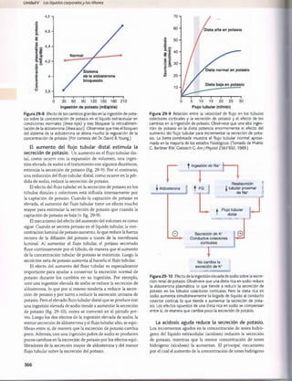 Unidad V Los líquidos corporalesy los riñones
o
a

D
73
4,8
4,6 -
■B _ 4,4 -
.(O,1
0
E P
J
E
Slu
a E
C
■o
c
0
o
c
o
o
4 ,2 -
4 -
3,8 -
Sistema
de la aldosterona
bloqueado
0 30 60 90
— i----------i----------1
----------1
120 150 180 210
Ingestión de potasio (mEq/día)
Figura 29-8 Efecto de los cambios grandes en la ingestión de pota­
sio sobre la concentración de potasio en el líquido extracelular en
condiciones normales (línea roja) y tras bloquear la retroalimen-
tación de la aldosterona (línea azul). Obsérvese que tras el bloqueo
del sistema de la aldosterona se altera mucho la regulación de la
concentración de potasio. (Por cortesía del Dr. David B.Young.)
El aum ento del flujo tubular distal estimula la
secreción de potasio. Un aumento en el flujo tubular dis­
tal, como ocurre con la expansión de volumen, una inges­
tión elevada de sodio o el tratamiento con algunos diuréticos,
estimula la secreción de potasio (fig. 29-9). Por el contrario,
una reducción del flujo tubular distal, como ocurre en la pér­
dida de sodio, reduce la secreción de potasio.
El efecto del flujo tubular en la secreción de potasio en los
túbulos distales y colectores está influida intensamente por
la captación de potasio. Cuando la captación de potasio es
elevada, el aumento del flujo tubular tiene un efecto mucho
mayor para estimular la secreción de potasio que cuando la
captación de potasio es baja (v. fig. 29-9).
El mecanismo del efecto del aumento del volumen es como
sigue. Cuando se secreta potasio en el líquido tubular, la con­
centración luminal de potasio aumenta, lo que reduce la fuerza
rectora de la difusión del potasio a través de la membrana
luminal. Al aumentar el flujo tubular, el potasio secretado
fluye continuamente por el túbulo, de manera que el aumento
de la concentración tubular de potasio se minimiza. Luego la
secreción neta de potasio aumenta al hacerlo el flujo tubular.
El efecto del aumento del flujo tubular es especialmente
importante para ayudar a conservar la excreción normal de
potasio durante los cambios en su ingestión. Por ejemplo,
ante una ingestión elevada de sodio se reduce la secreción de
aldosterona, lo que por sí mismo tendería a reducir la secre­
ción de potasio y por tanto a reducir la excreción urinaria de
potasio. Pero el elevado flujo tubular distal que se produce con
una ingestión elevada de sodio tiende a aumentar la secreción
de potasio (fig. 29-10), como se comentó en el párrafo pre­
vio. Luego los dos efectos de la ingestión elevada de sodio, la
menor secreción de aldosterona y el flujo tubular alto, se equi­
libran entre sí, de manera que la excreción de potasio cambia
poco. Además, con una ingestión pobre de sodio se producen
pocos cambios en la excreción de potasio por los efectos equi­
libradores de la secreción mayor de aldosterona y del menor
flujo tubular sobre la excreción del potasio.
U
)

0
R e
® E
70
60
50
Ë 40
'% o. 30
W
c
/
5 20
10
Flujo tubular (nl/min)
Figura 29-9 Relación entre la velocidad de flujo en los túbulos
colectores corticales y la secreción de potasio y el efecto de los
cambios en la ingestión de potasio. Obsérvese que una alta inges­
tión de potasio en la dieta potencia enormemente el efecto del
aumento del flujo tubular para incrementar la secreción de pota­
sio. La barra sombreada muestra el flujo tubular normal aproxi­
mado en la mayoría de los estados fisiológicos. (Tomado de Malnic
C, Berliner RW, Giebisch G. AmJPhysiol 256:F932, 1989.)
^ Ingestión de Na+
istion de Na^ ------— -i
! !
,
Reabsorción
1 tubular proximal
de Na+
Flujo tubular
distal
0 Secreción de K+
Conductos colectores
corticales
T
©
No cambia la
excreción de K+
Figura 29-10 Efecto de la ingestión elevada desodio sobre la excre­
ción renal de potasio. Obsérvese que una dieta rica en sodio reduce
la aldosterona plasmática, lo que tiende a reducir la secreción de
potasio en los túbulos colectores corticales. Pero la dieta rica en
sodio aumenta simultáneamente la llegada de líquido al conducto
colector cortical, lo que tiende a aumentar la secreción de pota­
sio. Los efectos opuestos de una dieta rica en sodio se compensan
entre sí, de manera que cambia poco la excreción de potasio.
La acidosis aguda reduce la secreción de potasio.
Los incrementos agudos en la concentración de iones hidró­
geno del líquido extracelular (acidosis) reducen la secreción
de potasio, mientras que la menor concentración de iones
hidrógeno (alcalosis) la aumentan. El principal mecanismo
por el cual el aumento de la concentración de iones hidrógeno
normal en potasio
alta en potasio
366
桴瑰㨯⽢潯歳浥摩捯献潲
桴瑰㨯⽢潯歳浥摩捯献潲
 