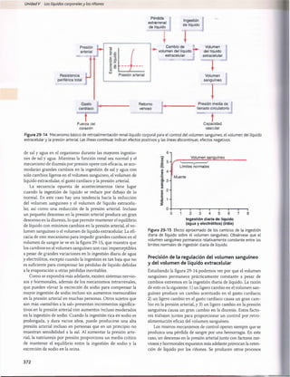 Unidad V Los líquidos corporalesy los riñones
Pérdida
extrarrenal
de líquido
Ingestión
de líquido
Cambio de
volumen del líquido
extracelular
€
h
Volumen
del líquido
extracelular
Volumen
sanguíneo
Gasto
cardíaco
T
Retorno Presión media de
venoso llenado circulatorio
Fuerza del
corazón
Capacidad
vascular
Figura 29-14 Mecanismo básico de retroalimentación renal-líquido corporal para el control del volumen sanguíneo, el volumen del líquido
extracelular y la presión arterial. Las líneas continuas indican efectos positivos y las líneas discontinuas, efectos negativos.
de sal y agua en el organismo durante las mayores ingestio­
nes de sal y agua. Mientras la función renal sea normal y el
mecanismo de diuresis por presión opere con eficacia, se aco­
modarán grandes cambios en la ingestión de sal y agua con
sólo cambios ligeros en el volumen sanguíneo, el volumen de
líquido extracelular, el gasto cardíaco y la presión arterial.
La secuencia opuesta de acontecimientos tiene lugar
cuando la ingestión de líquido se reduce por debajo de lo
normal. En este caso hay una tendencia hacia la reducción
del volumen sanguíneo y el volumen de líquido extracelu­
lar, así como una reducción de la presión arterial. Incluso
un pequeño descenso en la presión arterial produce un gran
descenso en la diuresis, lo que permite mantener el equilibrio
de líquido con mínimos cambios en la presión arterial, el vo­
lumen sanguíneo o el volumen de líquido extracelular. La efi­
cacia de este mecanismo para impedir grandes cambios en el
volumen de sangre se ve en la figura 29-15, que muestra que
los cambios en el volumen sanguíneo son casi imperceptibles
a pesar de grandes variaciones en la ingestión diaria de agua
y electrólitos, excepto cuando la ingestión es tan baja que no
es suficiente para compensar las pérdidas de líquido debidas
a la evaporación u otras pérdidas inevitables.
Como se expondrá más adelante, existen sistemas nervio­
sos y hormonales, además de los mecanismos intrarrenales,
que pueden elevar la excreción de sodio para compensar la
mayor ingestión de sodio incluso sin aumentos mensurables
en la presión arterial en muchas personas. Otros sujetos que
son más «sensibles a la sal» presentan incrementos significa­
tivos en la presión arterial con aumentos incluso moderados
en la ingestión de sodio. Cuando la ingestión rica en sodio es
prolongada, y dura varios años, puede producirse una alta
presión arterial incluso en personas que en un principio no
muestran sensibilidad a la sal. Al aumentar la presión arte­
rial, la natriuresis por presión proporciona un medio crítico
de mantener el equilibrio entre la ingestión de sodio y la
excreción de sodio en la orina.
o

D
C
O
)
c
cu
(0
c
o
E
J3
£
f Límites normales
' Muerte
Volumen sanguíneo
“i------ 1
------ r
3 4 5
Ingestión diaria de líquido
(agua y electrólitos) (l/día)
Figura 29-15 Efecto aproximado de los cambios de la ingestión
diaria de líquido sobre el volumen sanguíneo. Obsérvese que el
volumen sanguíneo permanece relativamente constante entre los
límites normales de ingestión diaria de líquido.
Precisión de la regulación del volumen sanguíneo
y del volumen de líquido extracelular
Estudiando la figura 29-14 podemos ver por qué el volumen
sanguíneo permanece prácticamente constante a pesar de
cambios extremos en la ingestión diaria de líquido. La razón
de esto es la siguiente: 1) un ligero cambio en el volumen san­
guíneo produce un cambio acentuado en el gasto cardíaco;
2) un ligero cambio en el gasto cardíaco causa un gran cam­
bio en la presión arterial, y 3) un ligero cambio en la presión
sanguínea causa un gran cambio en la diuresis. Estos facto­
res trabajan juntos para proporcionar un control por retro-
alimentación eficaz del volumen sanguíneo.
Los mismos mecanismos de control operan siempre que se
produzca una pérdida de sangre por una hemorragia. En este
caso, un descenso en la presión arterial junto con factores ner­
viosos y hormonales expuestos más adelante provocan la reten­
ción de líquido por los riñones. Se producen otros procesos
372
桴瑰㨯⽢潯歳浥摩捯献潲
桴瑰㨯⽢潯歳浥摩捯献潲
 
