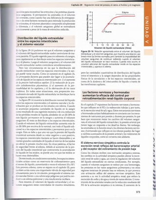 Capítulo 29 Regulación renal del potasio, el calcio, el fosfato y el magnesio
paralelos para reconstituir los eritrocitos y las proteínas plasmá­
ticas sanguíneas. Si permanecen las anomalías en el volumen
del eritrocito, como cuando hay una deficiencia de eritropoye-
íina o de otros factores necesarios para estimular la producción
áe eritrocitos, el volumen plasmático compondrá simplemente
la diferencia, y el volumen sanguíneo global se normalizará
prácticamente a pesar de la masa de eritrocitos reducida.
Distribución del líquido extracelular
entre los espacios intersticiales
y el sistem a vascular
En la figura 29-14 podemos ver que el volumen sanguíneo y
el volumen del líquido extracelular suelen controlarse de ma­
nera paralela. El líquido ingerido pasa inicialmente a la sangre,
pero rápidamente se distribuye entre los espacios intersticia­
les y el plasma. Luego el volumen sanguíneo y el volumen del
líquido extracelular suelen controlarse simultáneamente.
Pero hay circunstancias en las que la distribución del
líquido extracelular entre los espacios intersticiales y la san­
gre puede variar mucho. Como se comentó en el capítulo 25,
los principales factores que pueden dar lugar a la acumula­
ción de líquido en los espacios intersticiales son: l)e l aumento
de la presión hidrostática capilar; 2) la reducción de la pre­
sión coloidosmótica plasmática; 3) el aumento de la per­
meabilidad de los capilares, y 4) la obstrucción de los vasos
linfáticos. En todas estas situaciones, una proporción inu­
sualmente elevada del líquido extracelular se distribuye hacia
los espacios intersticiales.
La figura 29-16 muestra la distribución normal del líquido
entre los espacios intersticiales y el sistema vascular y la dis­
tribución que se produce en los estados con edema. Cuando
se acumulan pequeñas cantidades de líquido en la sangre
como resultado de una ingestión excesiva o de una reducción
de las pérdidas renales de líquido, alrededor de un 20-30% de
este líquido permanece en la sangre y aumenta el volumen
sanguíneo. El resto se distribuye a los espacios intersticiales.
Cuando el volumen del líquido extracelular aumenta más de
un 30-50% por encima de lo normal, casi todo el líquido adi­
cional va a los espacios intersticiales y permanece poco en la
sangre. Esto se debe a que una vez que la presión del líquido
intersticial aumenta desde su valor negativo a uno positivo,
los espacios intersticiales tisulares se hacen distensibles y se
vierten grandes cantidades de líquido al interior de los tejidos
sin elevar la presión mucho más. En otras palabras, el factor
de seguridad frente al edema, debido al aumento de la pre­
sión del líquido intersticial que contrarresta la acumulación
de líquido en los tejidos, se pierde una vez que los tejidos se
hacen muy distensibles.
De este modo, en condiciones normales, los espacios inters­
ticiales actúan como un reservorio de «rebosamiento» para
el exceso de líquido, aumentando a veces el volumen 10 a 301.
Esto provoca edema, como se expuso en el capítulo 25, pero
también actúa como una importante válvula de seguridad por
rebosamiento para la circulación, protegiendo al sistema car­
diovascular frente a una sobrecarga peligrosa que podría con­
ducir a un edema pulmonar y una insuficiencia cardíaca.
Para resumir, el volumen de líquido extracelular y el vo­
lumen sanguíneo están controlados de manera simultánea,
Volumen de líquido extracelular (litros)
Figura 29-16 Relación aproximada entre el volumen del líquido
extracelular y el volumen sanguíneo, que muestra una relación casi
lineal entre los límites normales; pero también la imposibilidad del
volumen sanguíneo de continuar subiendo cuando el volumen
del líquido extracelular se hace excesivo. Cuando esto ocurre, el
volumen adicional del líquido extracelular reside en los espacios
intersticiales, y aparece el edema.
pero las cantidades cuantitativas de distribución del líquido
entre el intersticio y la sangre dependen de las propiedades
físicas de la circulación y de los espacios intersticiales, así
como de la dinámica del intercambio de líquido a través de
las membranas capilares.
Los factores nerviosos y horm onales
aum entan la eficacia del control por
retroalim entación renal-líquido corporal
En el capítulo 27 expusimos los factores nerviosos y hormona­
les que influyen en el FG y la reabsorción tubular y, por tanto,
en la excreción renal de sal y agua. Estos mecanismos nerviosos
y hormonales actúan habitualmente en concierto con los meca­
nismos de natriuresis por presión y diuresis por presión, lo que
hace que minimicen mejor los cambios del volumen sanguí­
neo, el volumen del líquido extracelular y la presión arterial que
tienen lugar en respuesta a los desafíos diarios. Sin embargo,
las anomalías en la función renal o los diversos factores nervio­
sos y hormonales que influyen en los riñones pueden dar lugar
a cambios acentuados de la presión arterial y los volúmenes de
líquidos corporales, como se comenta más adelante.
El sistema nervioso simpático controla la
excreción renal: reflejos del barorreceptor arterial
y del receptor del estiramiento de presión baja
Como los riñones reciben una inervación simpática extensa,
los cambios en la actividad simpática pueden alterar la excre­
ción renal de sodio y agua, así como la regulación del volumen
del líquido extracelular en ciertas condiciones. Por ejemplo,
cuando el volumen sanguíneo se reduce por una hemorragia,
las presiones en los vasos sanguíneos pulmonares y en otras
regiones torácicas de presión baja se reducen, lo que provoca
una activación refleja del sistema nervioso simpático. Esto
aumenta a su vez la actividad simpática renal, que reduce la
excreción de sodio y de agua a través de varios efectos: 1) cons­
tricción de las arteriolas renales con la reducción resultante del
FG de la activación simpática si es intensa; 2) aumento de la
373
桴瑰㨯⽢潯歳浥摩捯献潲
桴瑰㨯⽢潯歳浥摩捯献潲
 