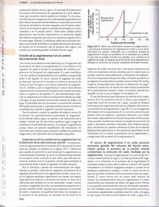 Unidad V Los líquidos corporalesy los riñones
reabsorción tubular de sal y agua, y 3) estímulo de la liberación
de renina y de la formación de angiotensina II y de la aldoste-
rona, que aumentan más la reabsorción tubular. Y si la reduc­
ción del volumen sanguíneo es lo suficientemente grande como
para reducir la presión arterial sistèmica, se produce una mayor
activación del sistema nervioso simpático por el menor estira­
miento de los barorreceptores arteriales localizados en el seno
carotideo y en el cayado aórtico. Todos estos reflejos juntos
desempeñan una función importante en la restitución rápida
del volumen sanguíneo que ocurre en trastornos agudos como
la hemorragia. Además, la inhibición refleja de la actividad sim­
pática renal puede contribuir a la rápida eliminación del exceso
de líquido en la circulación que se produce tras ingerir una
comida que contiene grandes cantidades de sal y agua.
Función de la angiotensina II en el control
de la excreción renal
Uno de los controladores más poderosos en el organismo de
la excreción de sodio es la angiotensina II. Los cambios en la
ingestión de sodio y líquido se acompañan de cambios recí­
procos en la formación de angiotensina II y esto contribuye
a su vez mucho al mantenimiento del equilibrio corporal del
sodio y del líquido. Es decir, cuando la ingestión de sodio
se eleva por encima de lo normal, se reduce la secreción de
renina, lo que da lugar a una menor formación de angioten­
sina II. Debido a que la angiotensina II tiene varios efectos
importantes en el aumento de la reabsorción tubular de sodio,
como se explica en el capítulo 27, una concentración redu­
cida de angiotensina II reduce la reabsorción tubular de sodio
y de agua, lo que aumenta la excreción urinaria de sodio y de
agua. El resultado neto es minimizar el aumento del volumen
del líquido extracelular y la presión arterial que de otra forma
se producirían cuando la ingestión de sodio aumenta.
Por el contrario, cuando la ingestión de sodio es menor de
lo normal, las concentraciones aumentadas de angiotensi­
na II retienen sodio y agua y se oponen a las reducciones de la
presión arterial que de otra forma tendrían lugar. Luego los
cambios en la actividad del sistema de la renina-angiotensina
actúan como un potente amplificador del mecanismo de
natriuresis por presión para mantener estables las presiones
sanguíneas y los volúmenes de los líquidos corporales.
Importancia de los cambios en la angiotensina II en
la alteración de la natriuresis por presión. La importan­
cia de la angiotensina II en el aumento de la eficacia de la natriu
resis por presión se muestra en la figura 29-17. Obsérvese
que cuando el control de la natriuresis por la angiotensina es
completamente funcional, la curva de natriuresis por presión
es escarpada (curva normal), lo que indica que sólo son ne­
cesarios cambios leves en la presión arterial para aumentar la
excreción de sodio cuando la ingestión de sodio aumenta.
Por el contrario, cuando las concentraciones de angio­
tensina no pueden reducirse en respuesta al aumento de la
ingestión de sodio (curva de angiotensina II alta), como ocu­
rre en algunos pacientes hipertensos que tienen una menor
capacidad para reducir la secreción de renina, la curva de la
natriuresis por presión no es tan escarpada. Luego, cuando
aumenta la ingestión de sodio, son necesarios aumentos de la
presión arterial mucho mayores para aumentar la excreción
de sodio y mantener el equilibrio del sodio. Por ejemplo, en
la mayoría de las personas, un aumento de 10 veces en la
374
T3
O ^
 ra
® = E
■n O E
O «
■
o U O
flj o
5-TI-S
Co (U
■o ¿ a
*
—. .m
U
)
a)
ai
c
Presión arterial (mmHg)
Figura 29-17 Efecto de la formación excesiva de angiotensina II
y de bloquear la formación de angiotensina II sobre la curva renal-
natriuresis por presión. Obsérvese que la formación elevada de
angiotensina II reduce la pendiente de la natriuresis por presión,
lo que hace la presión arterial muy sensible a los cambios en la
ingestión de sodio. El bloqueo de la formación de la angiotensina II
desplaza la natriuresis por presión a presiones arteriales menores.
ingestión de sodio aumenta sólo unos pocos milímetros de
mercurio la presión arterial, mientras que en sujetos que no
pueden suprimir adecuadamente la formación de angioten­
sina II en respuesta al exceso de sodio, el mismo aumento en
la ingestión de sodio eleva la presión arterial hasta 50 mmHg.
Luego la incapacidad para suprimir la formación de angio­
tensina II cuando hay un exceso de sodio reduce la pendiente
de la natriuresis por presión y hace a la presión arterial muy
sensible a la sal, como se expuso en el capítulo 19.
El uso de fármacos para bloquear los efectos de la angio­
tensina II se ha mostrado útil en la clínica para mejorar la
capacidad renal de excretar sal y agua. Cuando se bloquea
la formación de angiotensina II con un inhibidor de la enzima
convertidora de la angiotensina (v. fig. 29-17) o un antagonista
del receptor de la angiotensina II, la curva de natriuresis por
presión renal se desplaza a presiones inferiores; esto indica
una mayor capacidad de los riñones de excretar sodio porque
ahora pueden mantenerse valores normales de excreción de
sodio a presiones arteriales reducidas. Este desplazamiento
de la natriuresis por presión constituye la base de los efectos
hipotensores mantenidos en los pacientes hipertensos de los
inhibidores de la enzima convertidora de la angiotensina y
antagonistas del receptor de la angiotensina II.
El exceso de angiotensina II no suele provocar
aumentos grandes del volumen del líquido extra-
celular porque el aumento de la presión arterial
contrarresta la retención de sodio mediada por la
angiotensina. Aunque la angiotensina II es una de las hor­
monas conservadoras de agua y sal más poderosas del orga­
nismo, ni la reducción ni el aumento de la angiotensina II
circulante tienen un gran efecto sobre el volumen del líquido
extracelular o el volumen sanguíneo siempre y cuando no se
produzca insuficiencia cardíaca o renal. La razón de esto es
que con grandes aumentos de las concentraciones de angio­
tensina II, como ocurre con un tumor renal secretor de
renina, las concentraciones altas de angiotensina II causan
inicialmente una retención de sodio y de agua en los riñones
y un pequeño incremento del volumen del líquido extracelu­
lar. Esto también inicia un aumento de la presión arterial que
incrementa rápidamente la pérdida renal de sodio y de agua,
lo que supera los efectos ahorradores de sodio y agua de la
桴瑰㨯⽢潯歳浥摩捯献潲
桴瑰㨯⽢潯歳浥摩捯献潲
 