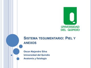 SISTEMA TEGUMENTARIO: PIEL Y
ANEXOS
Oscar Alejandro Silva
Universidad del Quindío
Anatomía y fisiología
 