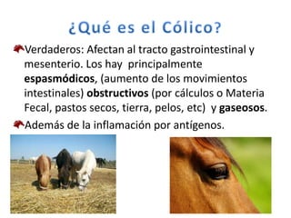 Verdaderos: Afectan al tracto gastrointestinal y
mesenterio. Los hay principalmente
espasmódicos, (aumento de los movimientos
intestinales) obstructivos (por cálculos o Materia
Fecal, pastos secos, tierra, pelos, etc) y gaseosos.
Además de la inflamación por antígenos.
 