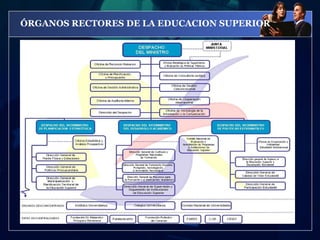 ÓRGANOS RECTORES DE LA EDUCACION SUPERIOR
 