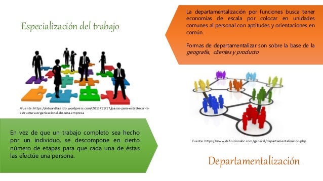 Fundamentos de la Estructura Organizacional