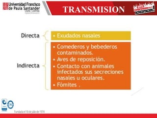 TRANSMISION
 