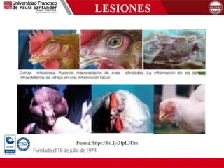 LESIONES
Fuente: https://bit.ly/3fpL3Um
 