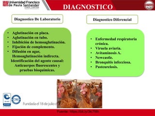 DIAGNOSTICO
Fuente: https://bit.ly/3lc7I8h
• Aglutinación en placa.
• Aglutinación en tubo.
• Inhibición de hemoaglutinación.
• Fijación de complemento.
• Difusión en agar,
Hemoaglutinación indirecta.
Identificación del agente causal:
Anticuerpos fluorescentes y
pruebas bioquímicas.
• Enfermedad respiratoria
crónica.
• Viruela aviaria.
• Avitaminosis A.
• Newcastle.
• Bronquitis infecciosa.
• Pasteurelosis.
Diagnostico De Laboratorio Diagnostico Diferencial
 