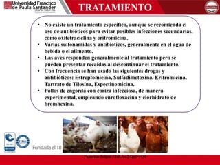 TRATAMIENTO
Fuente:https://bit.ly/34pIFHR
• No existe un tratamiento específico, aunque se recomienda el
uso de antibióticos para evitar posibles infecciones secundarias,
como oxitetraciclina y eritromicina.
• Varias sulfonamidas y antibióticos, generalmente en el agua de
bebida o el alimento.
• Las aves responden generalmente al tratamiento pero se
pueden presentar recaídas al descontinuar el tratamiento.
• Con frecuencia se han usado las siguientes drogas y
antibióticos: Estreptomicina, Sulfadimetoxina, Eritromicina,
Tartrato de Tilosina, Espectinomicina.
• Pollos de engorda con coriza infecciosa, de manera
experimental, empleando enrofloxacina y clorhidrato de
bromhexina.
 