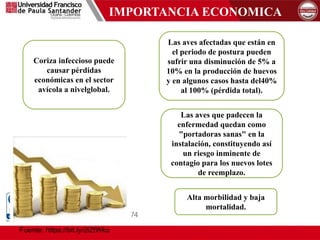 IMPORTANCIA ECONOMICA
Fuente: https://bit.ly/2lZtWko
Coriza infeccioso puede
causar pérdidas
económicas en el sector
avícola a nivelglobal.
Alta morbilidad y baja
mortalidad.
Las aves que padecen la
enfermedad quedan como
"portadoras sanas" en la
instalación, constituyendo así
un riesgo inminente de
contagio para los nuevos lotes
de reemplazo.
Las aves afectadas que están en
el periodo de postura pueden
sufrir una disminución de 5% a
10% en la producción de huevos
y en algunos casos hasta del40%
al 100% (pérdida total).
 