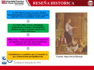 RESEÑA HISTORICA
En 1932 Blieck propuso el nombre Bacillus
haemoglobinphilus coryzagallinarum para el agente
causal del “catarro contagioso” de los pollos.
En 1934, Eliot, Lewis y Delaplane
propusieron el nombre Haemophilus
gallinarum para el agente causal de la
coriza infecciosa.
Biberstein y White propusieron la especie H.
paragallinarum para los microorganismos
causantes de coriza infecciosa.
Actualmente se considera que el causante es
por Avibacterium paragallinarum Fuente: https://bit.ly/36zoryb
 