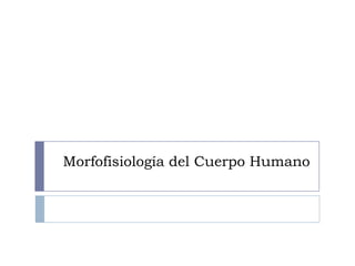 Morfofisiología del Cuerpo Humano
 