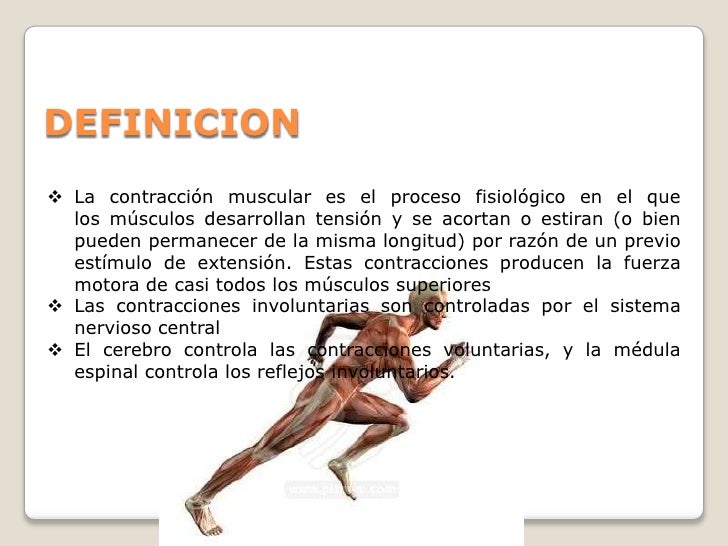 que significa definicion muscular