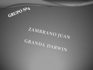 GRUPO Nº4 ZAMBRANO JUAN  GRANDADARWIN 