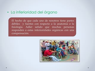 • La inferioridad del órgano
El hecho de que cada uno de nosotros tiene partes
débiles y fuertes con respecto a la anatomía o la
fisiología. Adler señalo que muchas personas
responden a estas inferioridades orgánicas con una
compensación.
 