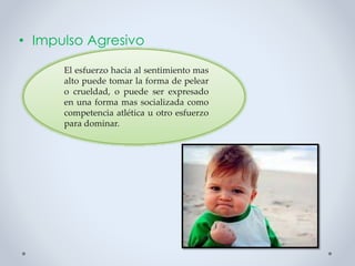 • Impulso Agresivo
El esfuerzo hacia al sentimiento mas
alto puede tomar la forma de pelear
o crueldad, o puede ser expresado
en una forma mas socializada como
competencia atlética u otro esfuerzo
para dominar.
 