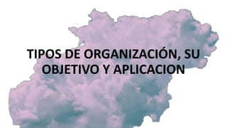 TIPOS DE ORGANIZACIÓN, SU
OBJETIVO Y APLICACION
 