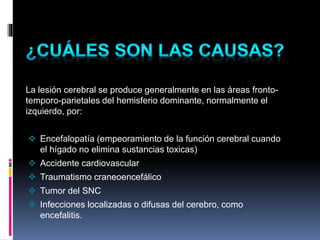 La lesión cerebral se produce generalmente en las áreas fronto-
temporo-parietales del hemisferio dominante, normalmente el
izquierdo, por:
 Encefalopatía (empeoramiento de la función cerebral cuando
el hígado no elimina sustancias toxicas)
 Accidente cardiovascular
 Traumatismo craneoencefálico
 Tumor del SNC
 Infecciones localizadas o difusas del cerebro, como
encefalitis.
 