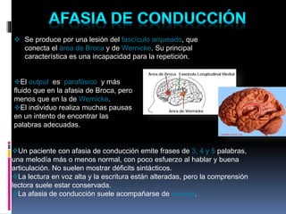  Se produce por una lesión del fascículo arqueado, que
conecta el área de Broca y de Wernicke. Su principal
característica es una incapacidad para la repetición.
El output es parafásico y más
fluido que en la afasia de Broca, pero
menos que en la de Wernicke.
El individuo realiza muchas pausas
en un intento de encontrar las
palabras adecuadas.
Un paciente con afasia de conducción emite frases de 3, 4 y 5 palabras,
una melodía más o menos normal, con poco esfuerzo al hablar y buena
articulación. No suelen mostrar déficits sintácticos.
La lectura en voz alta y la escritura están alteradas, pero la comprensión
lectora suele estar conservada.
La afasia de conducción suele acompañarse de apraxia.
 