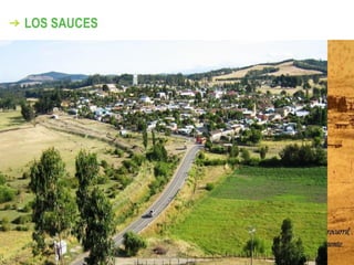 LOS SAUCES
 