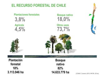 EL RECURSO FORESTAL DE CHILE
(CONAF, Catastro 2019; INFOR, 2014a)
Plantaciones forestales
3,8%
Bosque nativo
18,0%
Agrícola
4,5%
Otros usos
73,7%
Plantación
forestal
18%
3.113.946 ha
Bosque
nativo
82%
14.633.779 ha
 