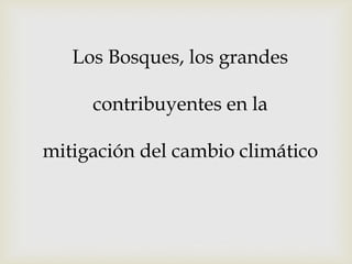 Los Bosques, los grandes
contribuyentes en la
mitigación del cambio climático
 