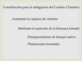 Contribución para la mitigación del Cambio Climático
Aumentar la captura de carbono
Enriquecimiento de bosque nativo
Mediante el aumento de la biomasa forestal
Plantaciones forestales
 