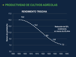 PRODUCTIVIDAD DE CULTIVOS AGRÍCOLAS
15,0
13,4
9,9
8,8
7,2
5,0
7,0
9,0
11,0
13,0
15,0
17,0
1895 1900 1905 1910 1915 1920 1925 1930 1935 1940
Número
de
quintales/ha
RENDIMIENTO TRIGO/HA
Reducción de 52%
rendimiento
en menos de 40 años
 