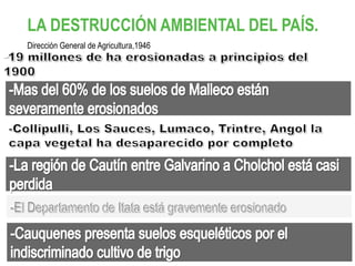 LA DESTRUCCIÓN AMBIENTAL DEL PAÍS.
Dirección General de Agricultura,1946
 