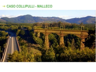 CASO COLLIPULLI - MALLECO
 