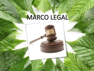 MARCO LEGAL
 