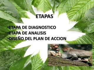 ETAPAS
•ETAPA DE DIAGNOSTICO
•ETAPA DE ANALISIS
•DISEÑO DEL PLAN DE ACCION
 