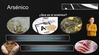 Arsénico
¿Que es el arsénico?
 Ingesta a través de alimentos de origen vegetal
 Ingesta de alimentos de origen animal
 