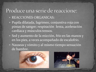  REACCIONES ORGANICAS:
 Pupila dilatada, lagrimeo, conjuntiva roja con
pintas de sangre; respiración lenta, aceleración
cardiaca y músculos tensos.
 Sed y aumento de la micción, frío en las manos y
en los pies, a veces acompañado de escalofrío.
 Nauseas y vómito y al mismo tiempo sensación
de hambre.
 