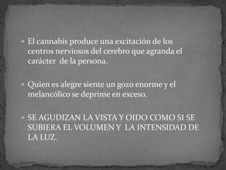  El cannabis produce una excitación de los
centros nerviosos del cerebro que agranda el
carácter de la persona.
 Quien es alegre siente un gozo enorme y el
melancólico se deprime en exceso.
 SE AGUDIZAN LA VISTA Y OIDO COMO SI SE
SUBIERA EL VOLUMEN Y LA INTENSIDAD DE
LA LUZ.
 