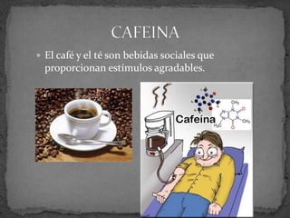  El café y el té son bebidas sociales que
proporcionan estímulos agradables.
 