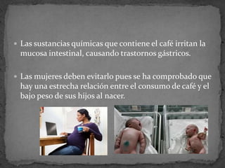  Las sustancias químicas que contiene el café irritan la
mucosa intestinal, causando trastornos gástricos.
 Las mujeres deben evitarlo pues se ha comprobado que
hay una estrecha relación entre el consumo de café y el
bajo peso de sus hijos al nacer.
 