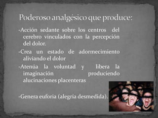-Acción sedante sobre los centros del
cerebro vinculados con la percepción
del dolor.
-Crea un estado de adormecimiento
aliviando el dolor
-Atenúa la voluntad y libera la
imaginación produciendo
alucinaciones placenteras
-Genera euforia (alegría desmedida).
 