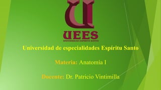 Universidad de especialidades Espíritu Santo
Materia: Anatomía I
Docente: Dr. Patricio Vintimilla
 