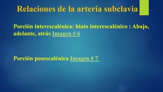 Relaciones de la arteria subclavia
Porción interescalénica: hiato interescalénico : Abajo,
adelante, atrás Imagen # 6
Porción posescalénica Imagen # 7
 